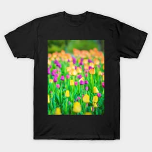 Tulips T-Shirt